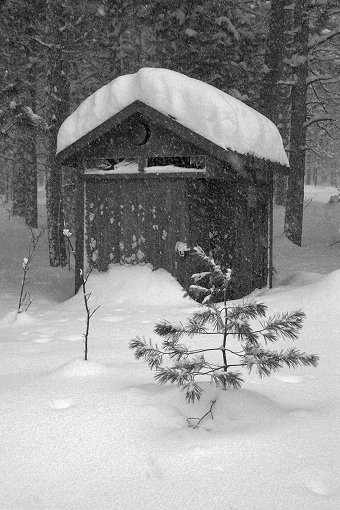 Mystical Outhouse - Alger County - AuTrain, MI